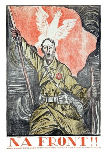 40751956.jpg