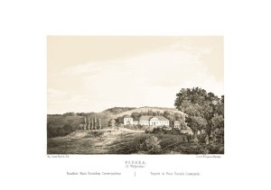 Płoska G. Wołyńska - Napoleon Orda - litografia