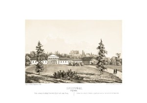 Spiczyńce G. Kijowska - Napoleon Orda - litografia