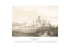 Lucyn G. Witebska - Napoleon Orda - litografia