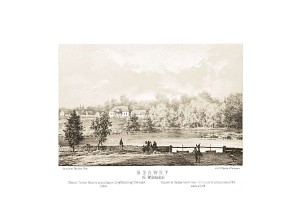 Szawry G. Wileńska - Napoleon Orda - litografia