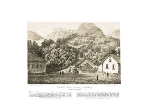 Lwów nad rz. Pełtwią - Napoleon Orda - litografia