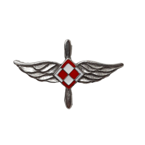 Korpusówka Wojsk Lotniczych - przypinka