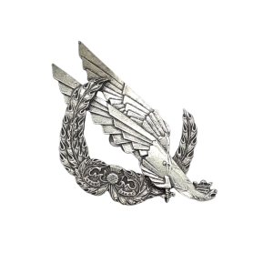 1 Samodzielna Brygada Strzelców - odznaka