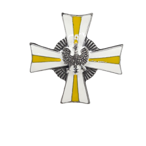 Pamiątkowa Odznaka 24 Pułku Ułanów - odznaka