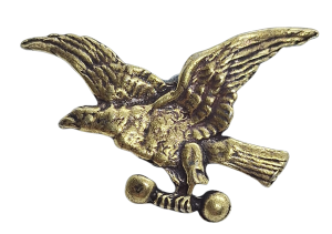 Polskie Towarzystwo Gimnastyczne „Sokół” - ODZNAKA